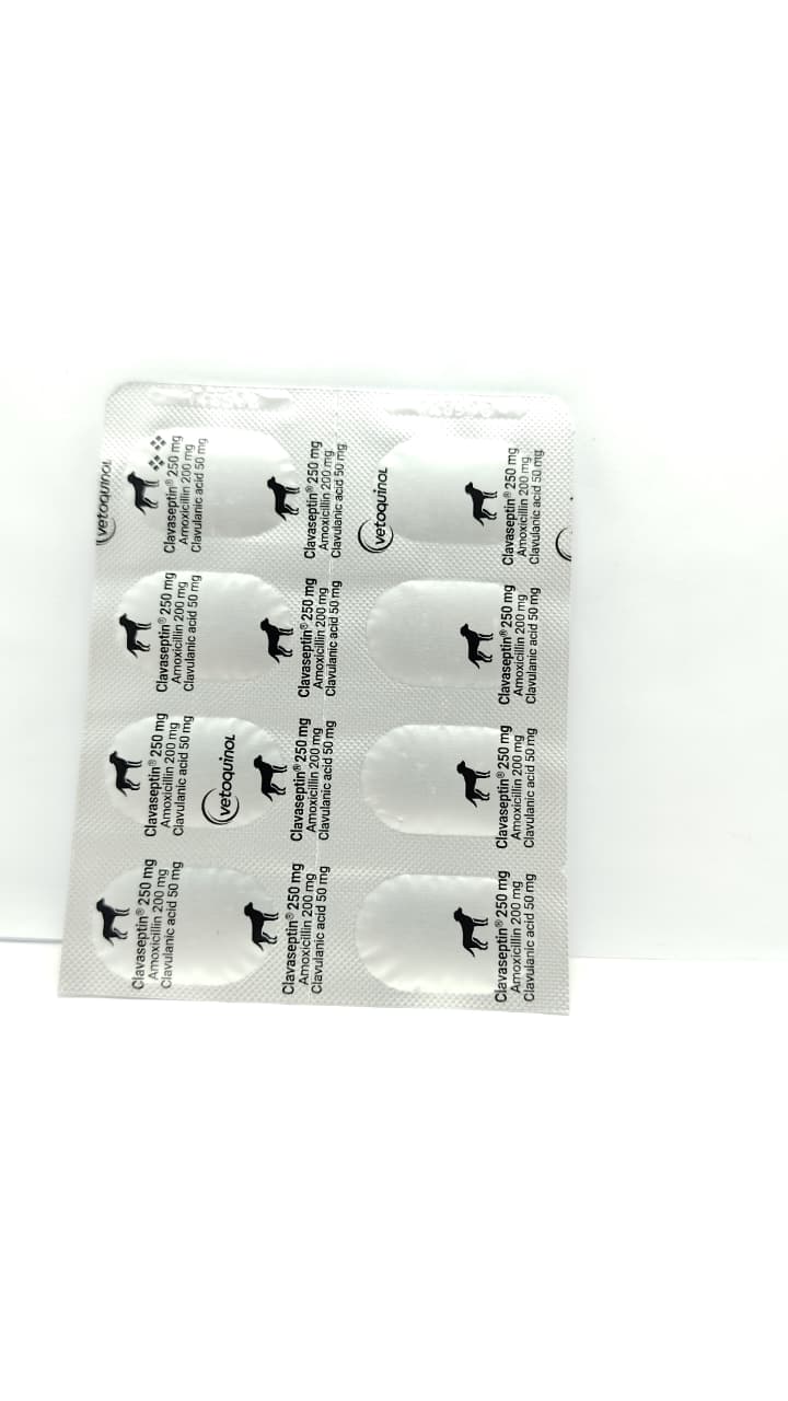 CLAVASEPTIM 250 MG          (AMOXICILINA / ACIDO CLAVULANICO