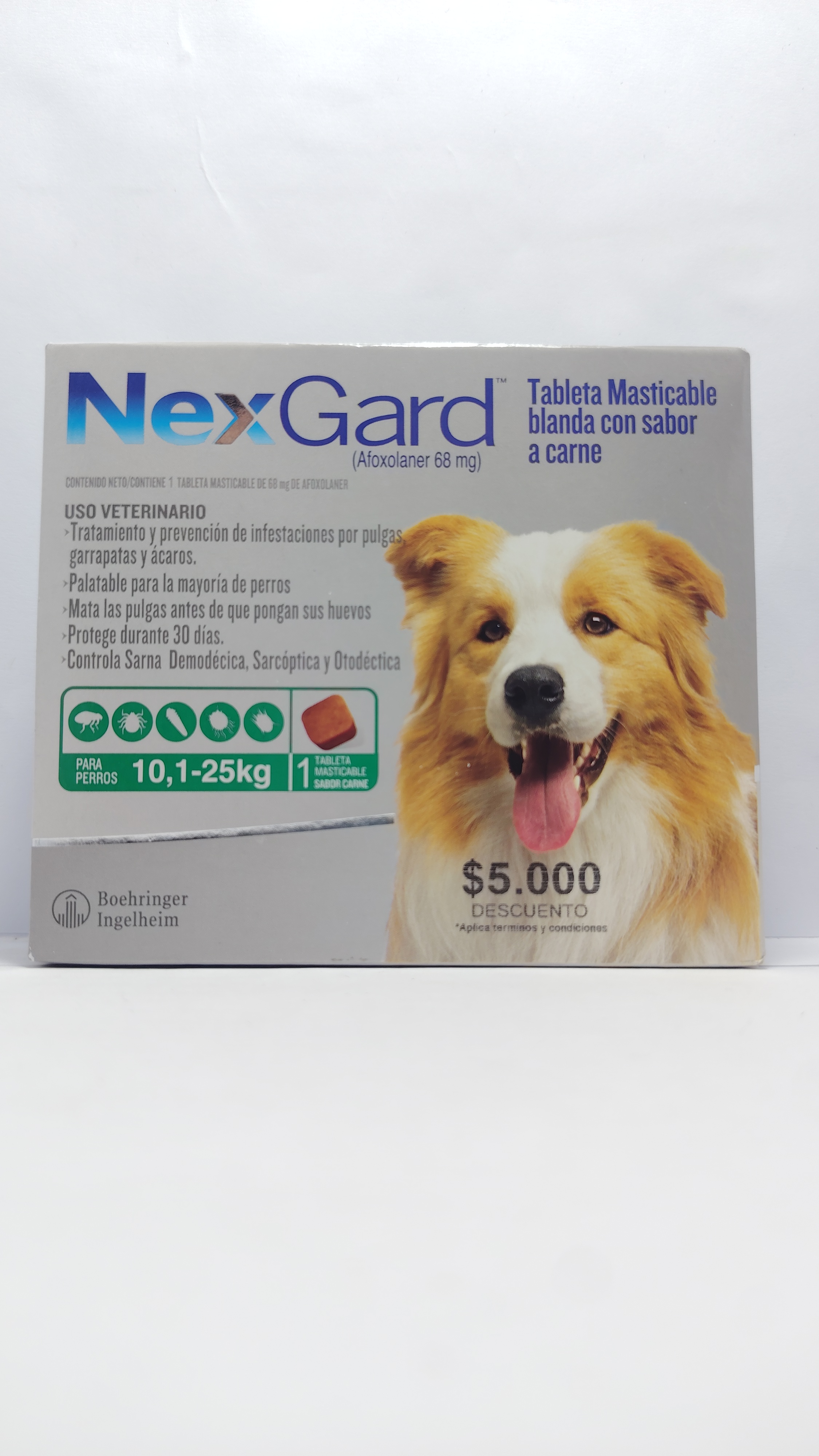 NEXGARD PERRO 10.1 A 25 KG