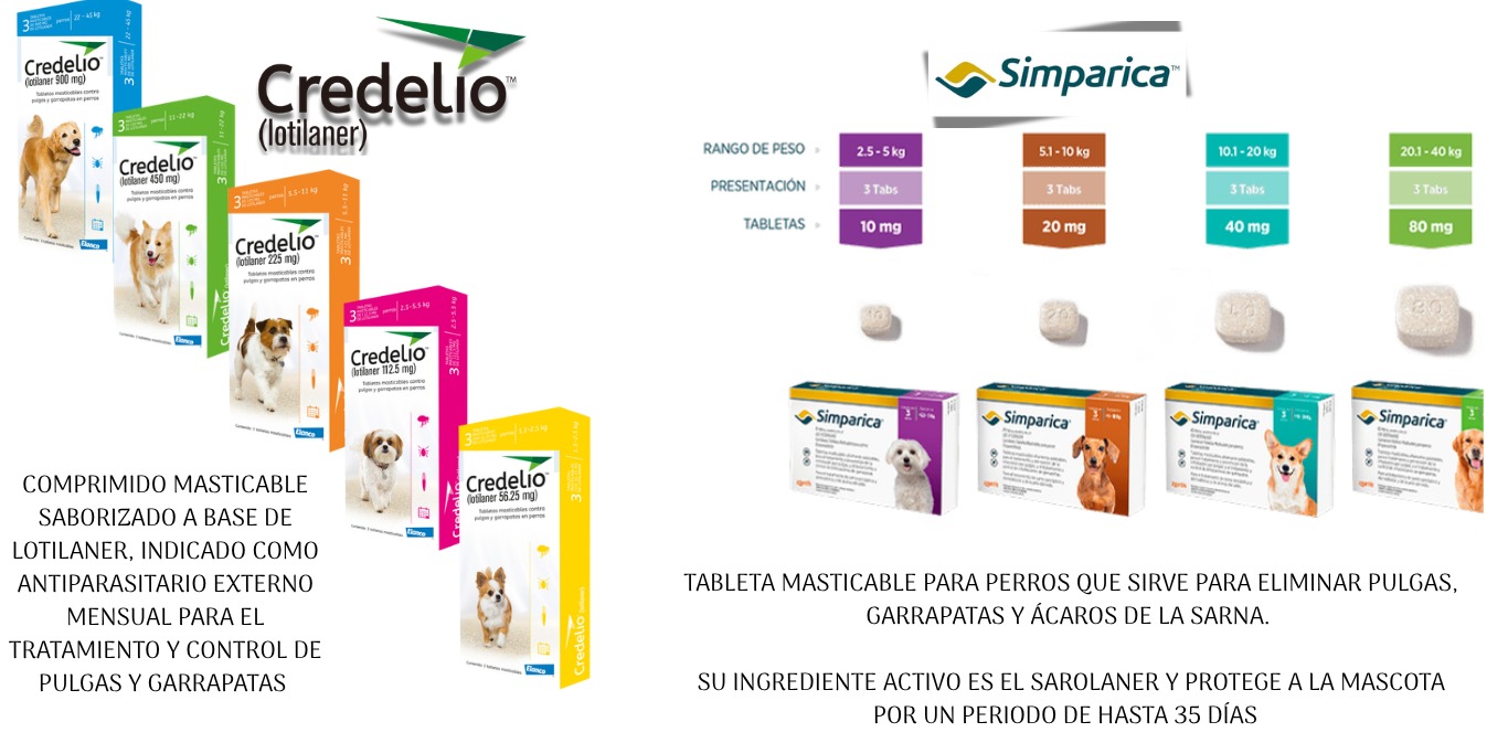 Productos para gatos