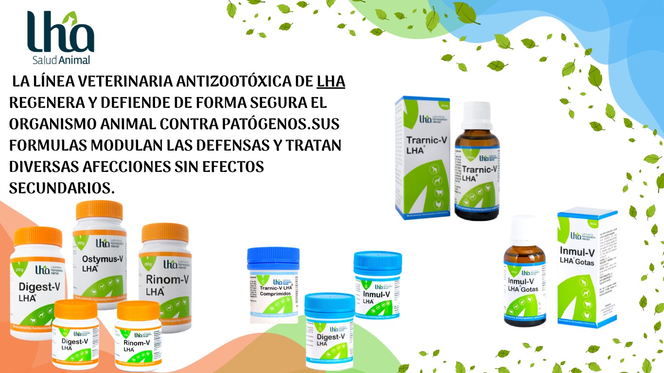 Productos para perros